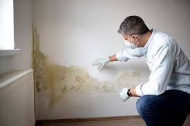 Best Mold Prevention Services  in Rainbow Springs, FL